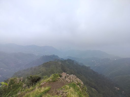 Photo from customer review