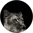 Riya Chaudhary profile picture