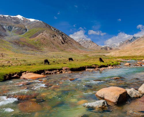 Leh Ladakh