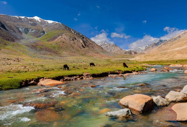 Leh Ladakh
